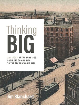 cover image of Thinking Big